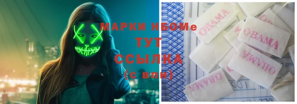 твердый Алзамай