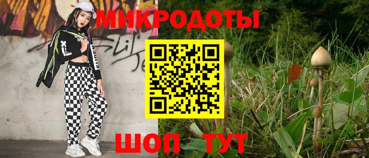 Псилоцибиновые грибы ЛСД Сокол