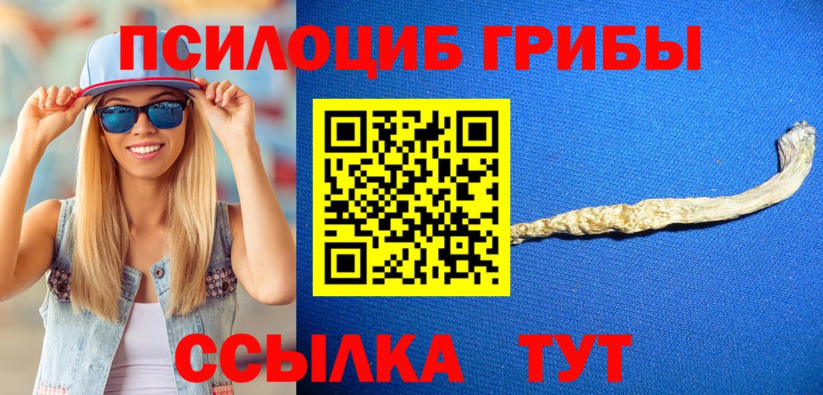 Сокол  купить наркотики сайты  Вход с VPN  Псилоцибиновые грибы Cubensis 